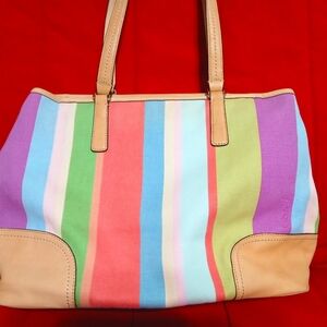 Coach Multicolor Striped Women's Bag